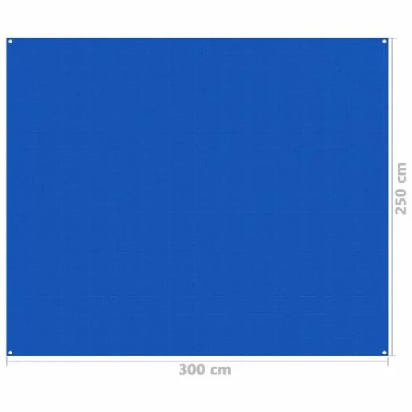 Paiement sécurisé VIDAXL Tapis De Tente 250×300 Cm Bleu 5