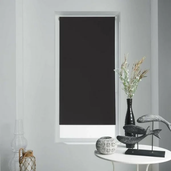 Paris Prix Store Enrouleur Occultant Occult 60x180cm Noir magasin en ligne france 1