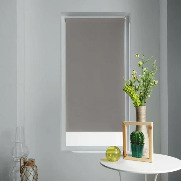 Paris Prix Store Enrouleur Occultant Occult 60x90cm Taupe boutique en ligne 1