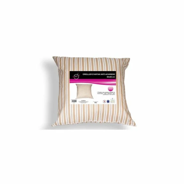 Soleil D’ocre Oreiller Anti-acarien D’ANTAN 60×60 Cm en promotion 4