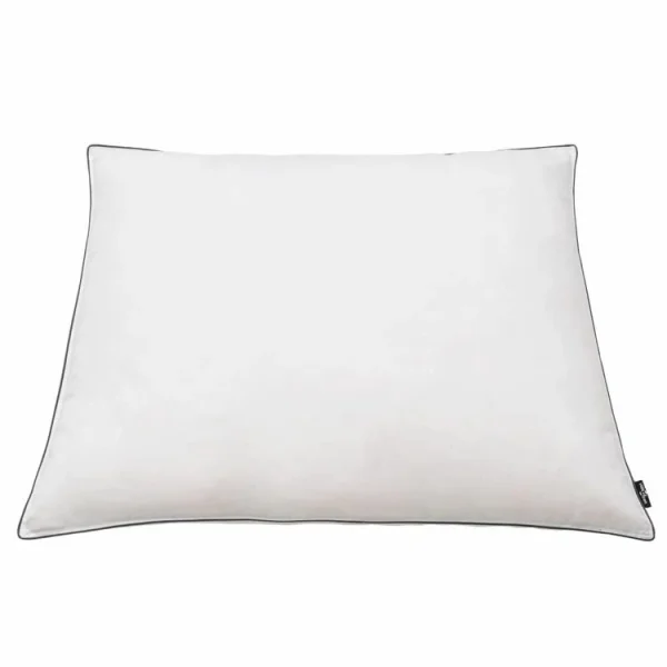 VIDAXL Oreiller 2 Pcs Remplissage De Duvet Leger 80 X 80 Cm Blanc à prix promos 4