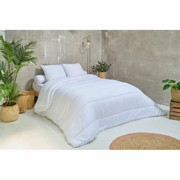 ATELIERS DU NORD Lot De 2 Oreillers Confort Ferme – boutique paris 4