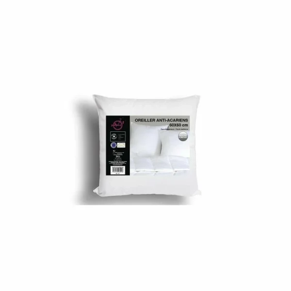 Intemporel Oreiller Confort Anti-acarien 60×60 Cm Service Clients Dédié 1