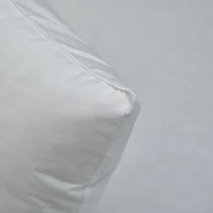 ATELIERS DU NORD Lot De 2 Oreillers Confort Gonflant – Livraison Standard/Rapide 10