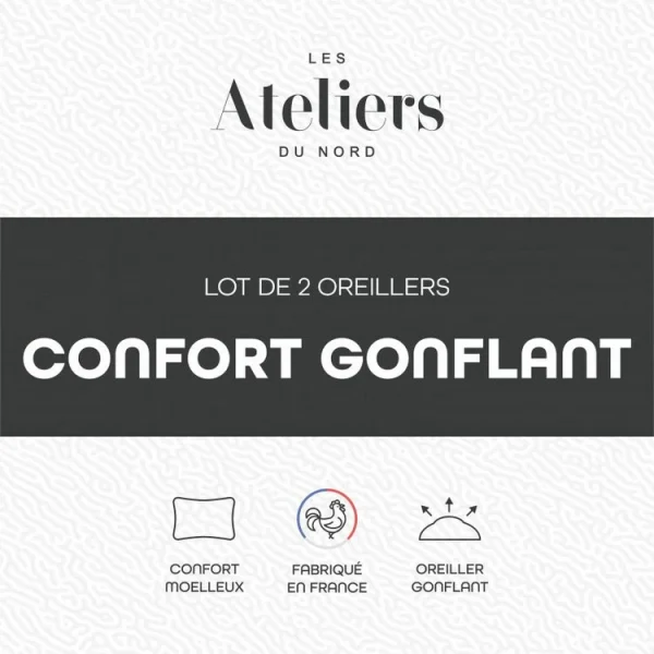 ATELIERS DU NORD Lot De 2 Oreillers Confort Gonflant – Livraison Standard/Rapide 5