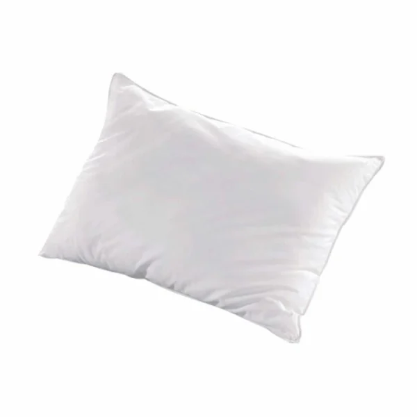 Meilleur Service Rendez Vous Déco Oreiller Fibres Creuses Luxotel 1