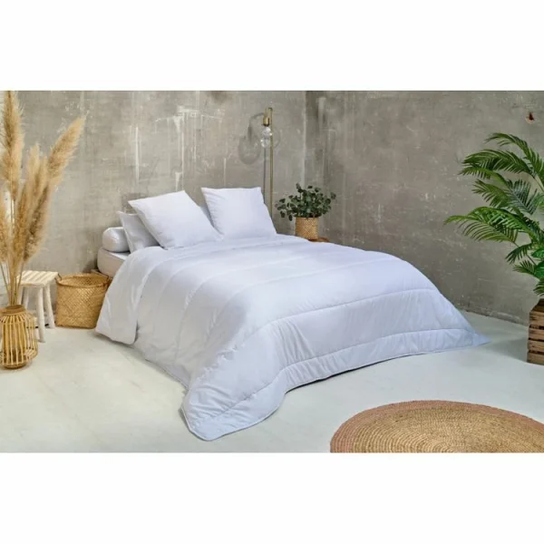ATELIERS DU NORD Lot De 2 Oreillers Anti-transpiration – en promotion 4