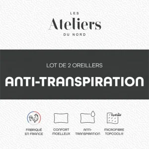 ATELIERS DU NORD Lot De 2 Oreillers Anti-transpiration – en promotion 12