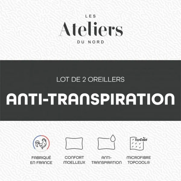 ATELIERS DU NORD Lot De 2 Oreillers Anti-transpiration – en promotion 5